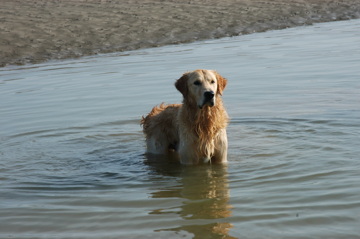 DSC_0030.JPG
