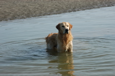 DSC_0030.JPG