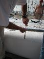 DSCN0009.JPG